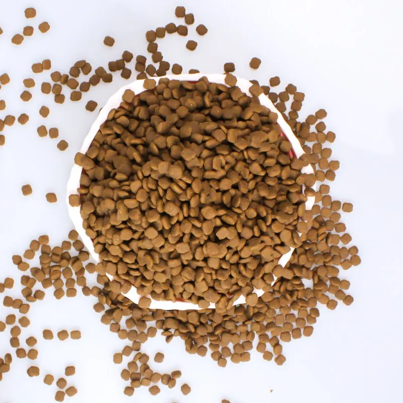 Thức ăn cho chó dinh dưỡng tốt nhất